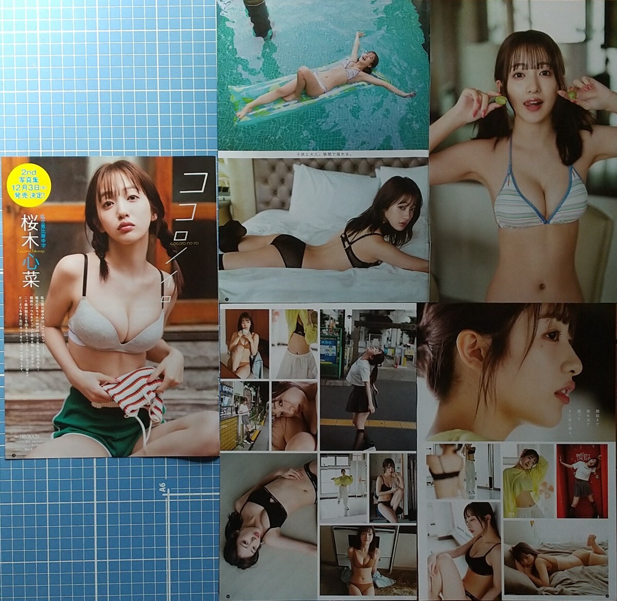 桜木心菜　雑志グラビア切り抜き12P+表紙