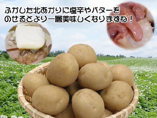 北あかり たまねぎセット (各5kg合計10kg) 北海道産ジャガイモと玉ねぎ(北もみじ等)札幌黃の品種改良品 黃玉蔥 送料無料