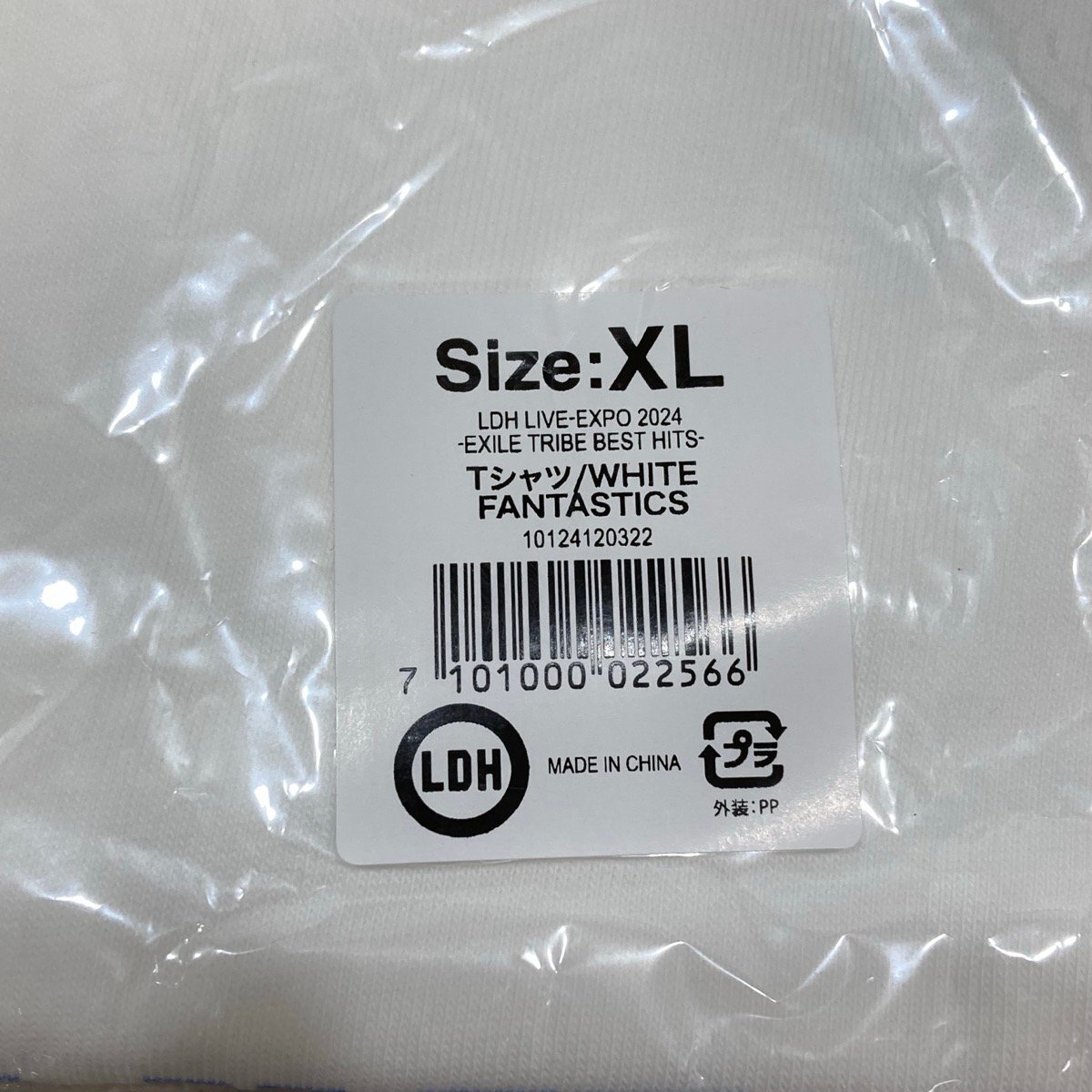 未開封 2点セット FANTASTICS Special Thanks / EXPO 2024 Tシャツ（43）[D8299]_画像5