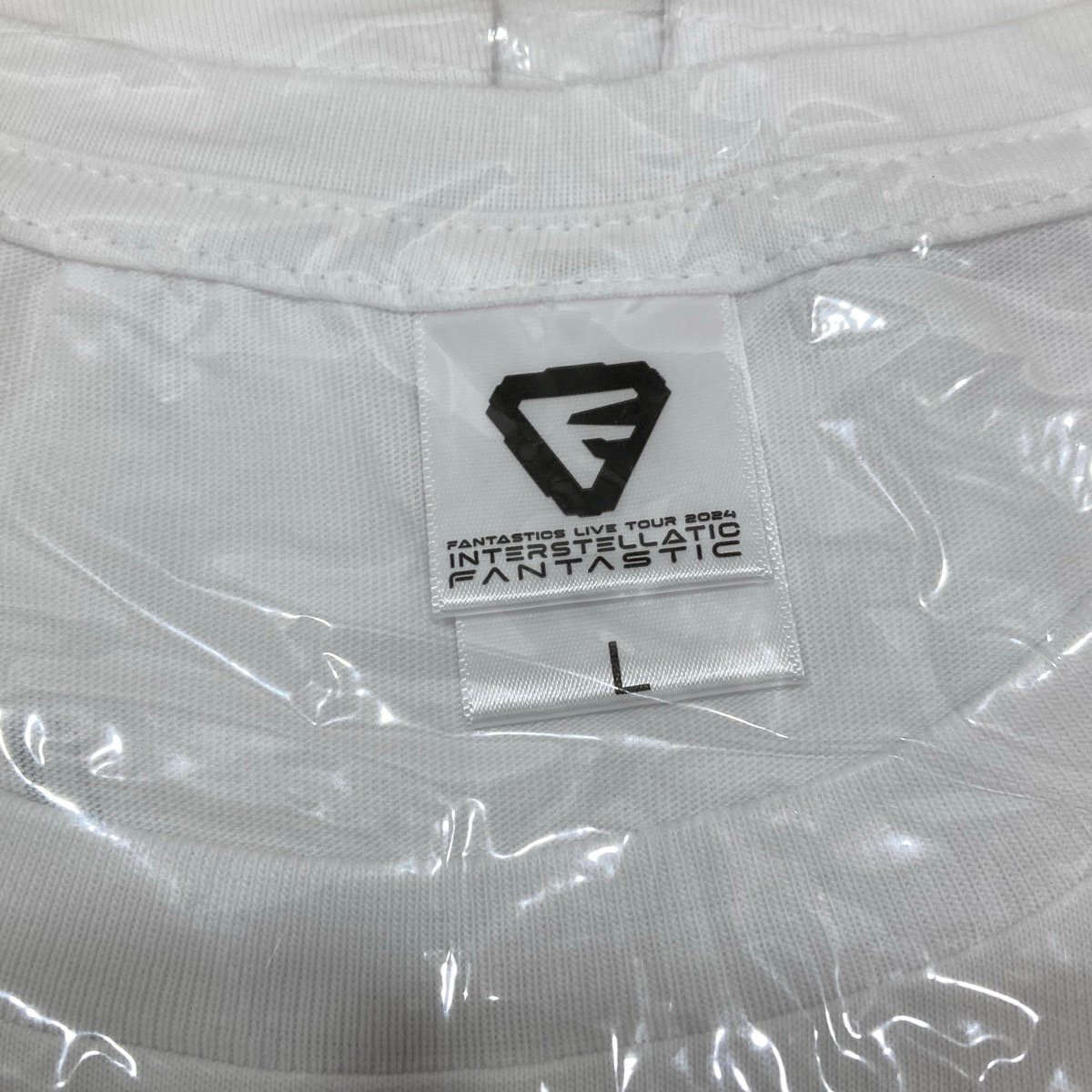 未開封 2点セット FANTASTICS Special Thanks / EXPO 2024 Tシャツ（43）[D8299]_画像7