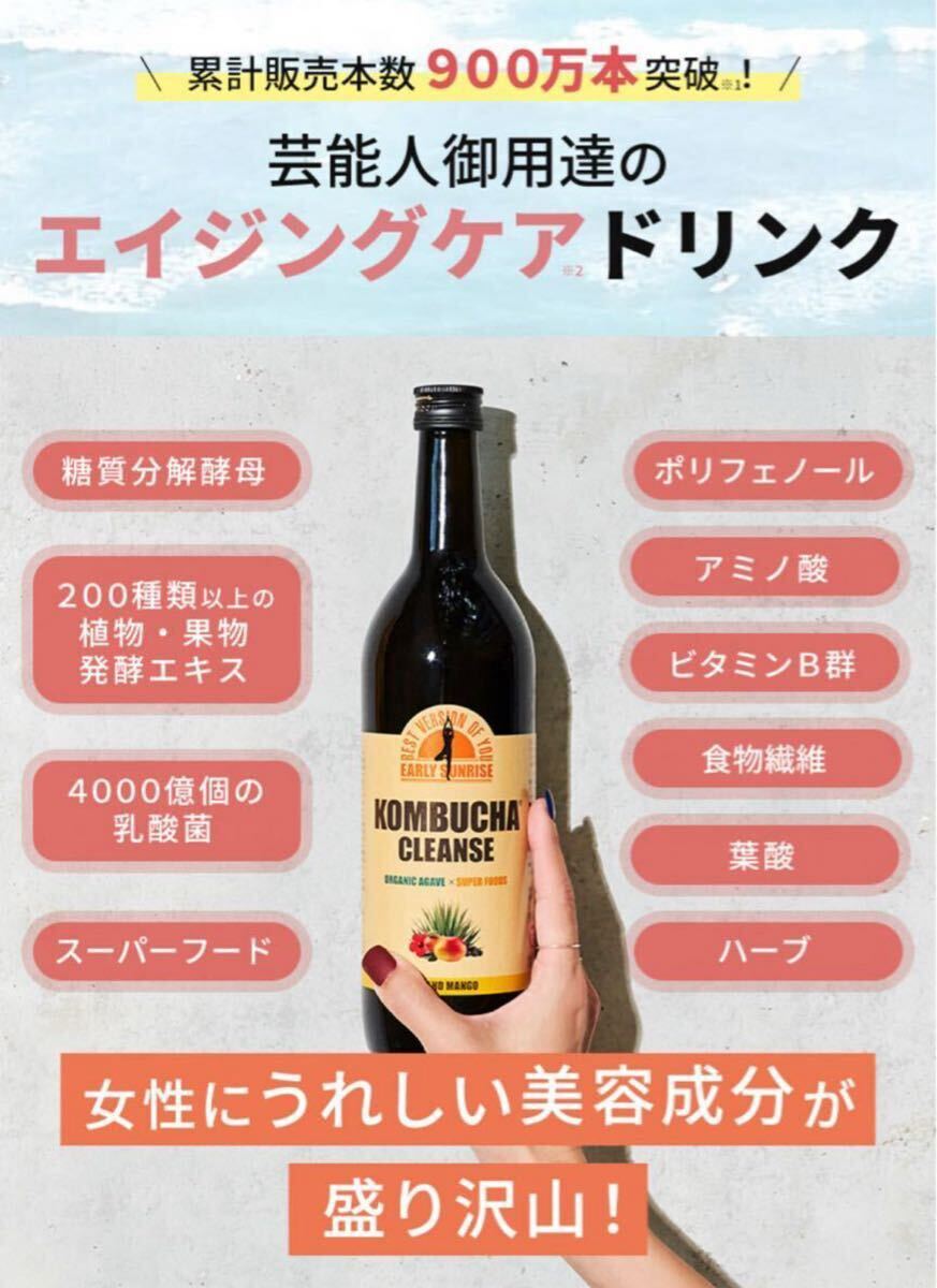 コンブチャクレンズ　まとめ　1f/128083