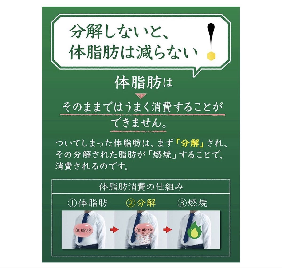 【24本セット】サントリー 伊右衛(wèi)門 特茶 ジャスミン茶 500ml PETボトル
