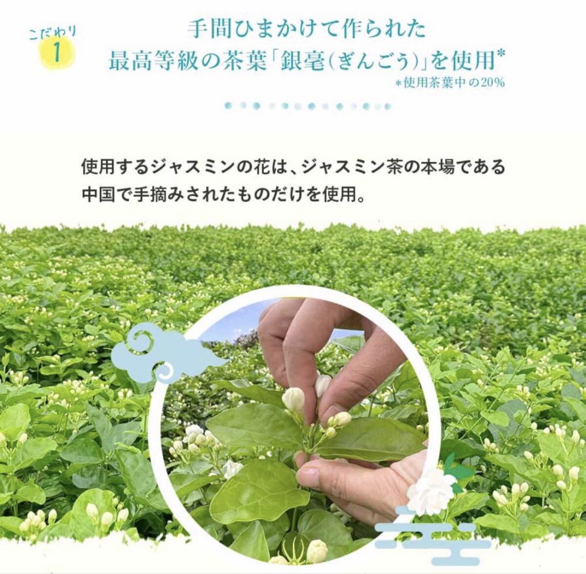 【24本セット】彩茶-あやちゃージャスミン茶 500ml PETボトル 花の香り豊か Ayacha