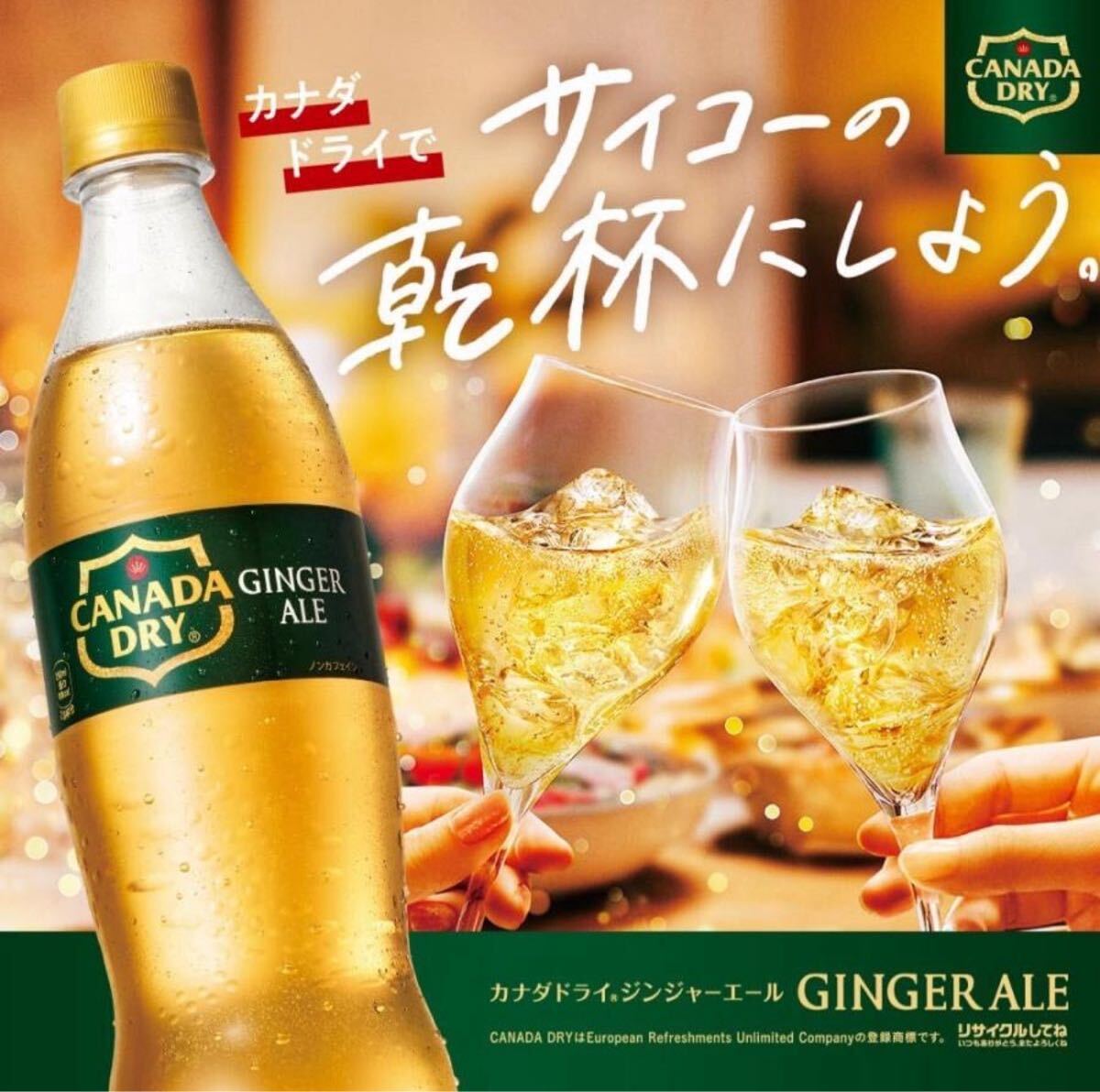【24本】カナダドライ ジンジャーエール 500ml ペットボトル 24本入 炭酸飲料 ジンジャエール 割材