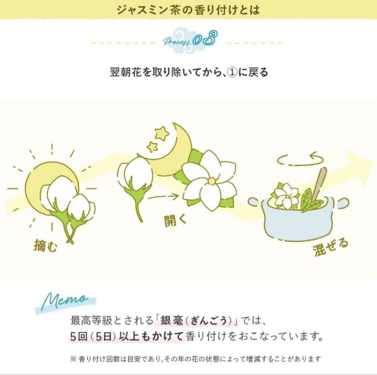 【24本セット】彩茶-あやちゃージャスミン茶 500ml PETボトル 花の香り豊か Ayacha
