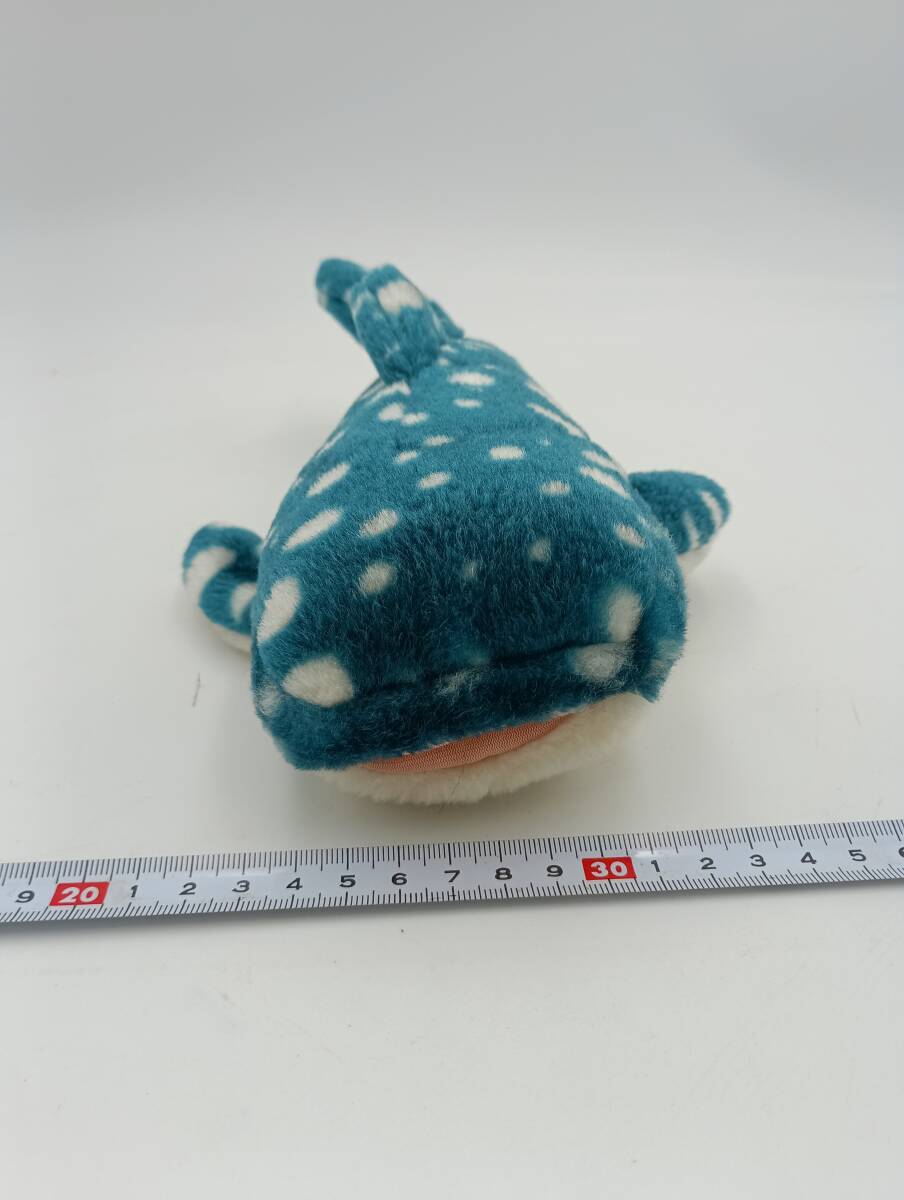 沖縄　美ら海水族館　限定品　ジンベエザメ　ぬいぐるみ