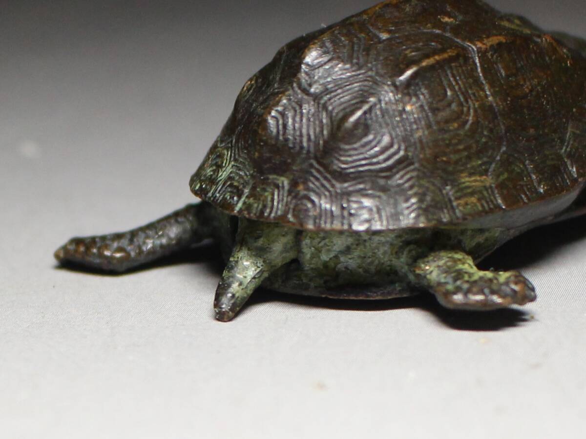 ◆古銅・銘 はた・亀・カメ・置物・頭尾可動式・鼈・スッポン・細密細工・煎茶飾り・盆景◆a9116h_画像9