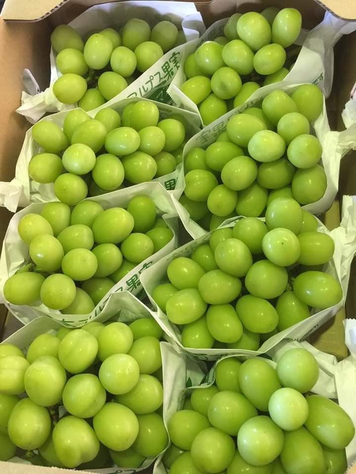 香川県産 5kg シャインマスカット 　8～9房　中粒 1円～送料無(wú)料（平均糖度20度）
