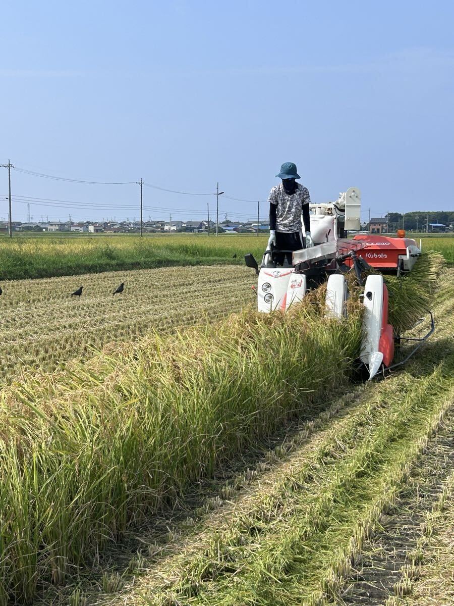 R7年　伊勢志摩産コシヒカリ　玄米　純度100% 30.5k 農(nóng)家直送