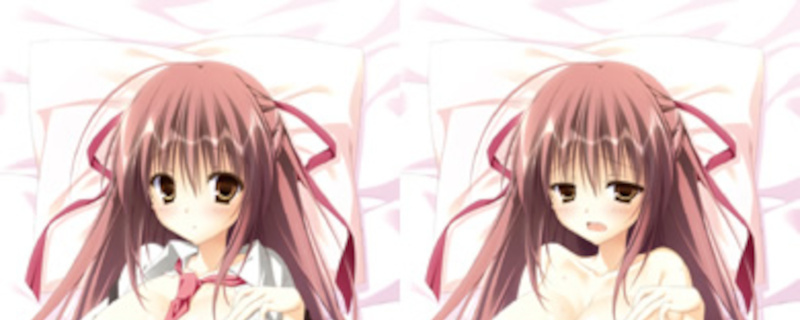  подушка . бог Kirameki Sakura no поэзия . Sakura . Dakimakura покрытие Sofmap привилегия / Sakura no.keroQ стандартный товар новый товар нераспечатанный бесплатная доставка 