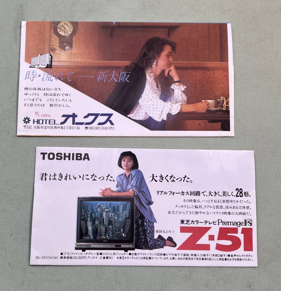 国鉄【切符入れ】みどりの窓口・2枚セット_画像6