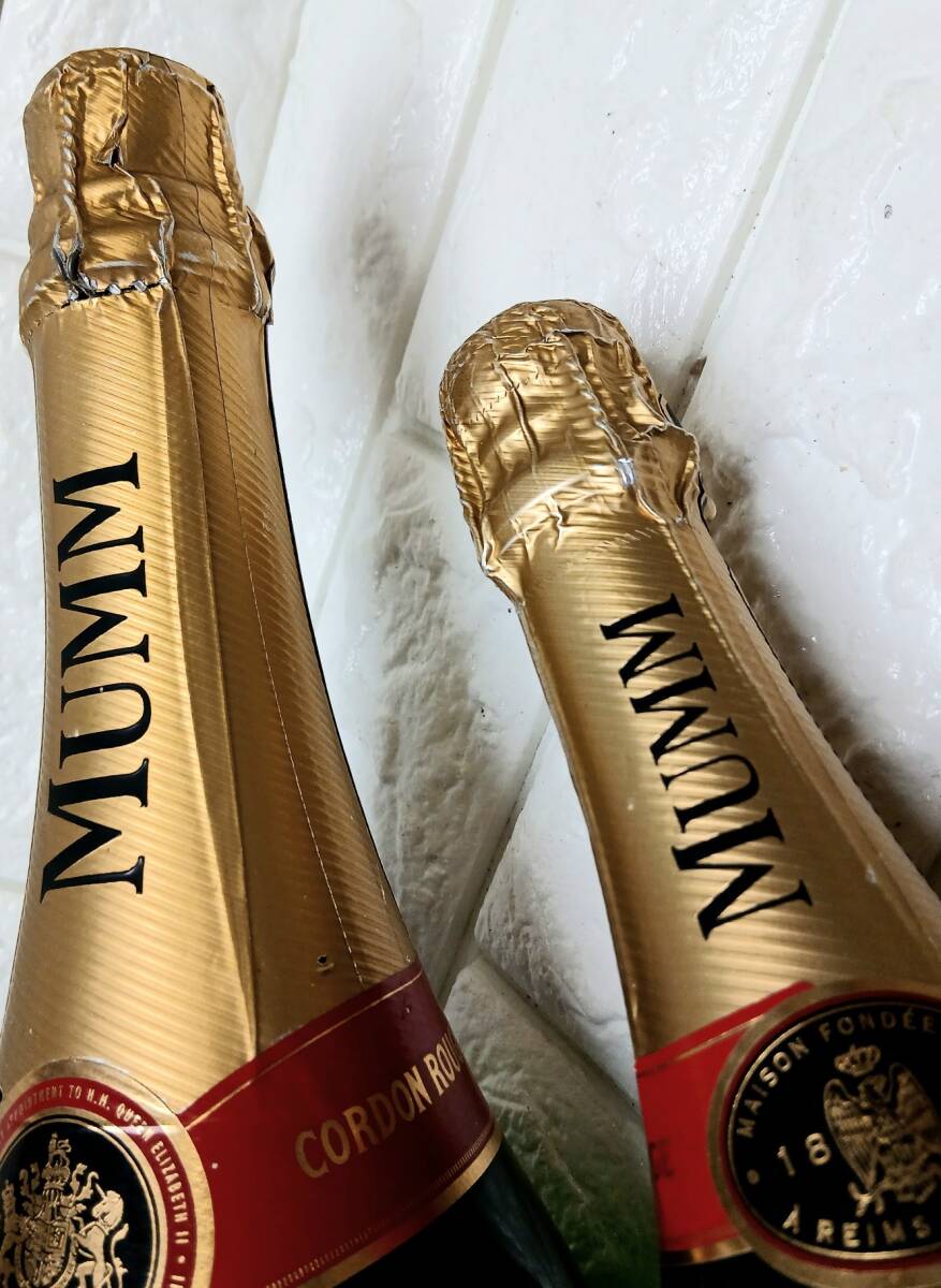 n138 非売品 ダミーボトル『G.H.MUMM』マム. コルドン ルージュ.ブリュット (マグナム 50cm 特大 3,000ml)(750ml) ディスプレイ用 空ボトル