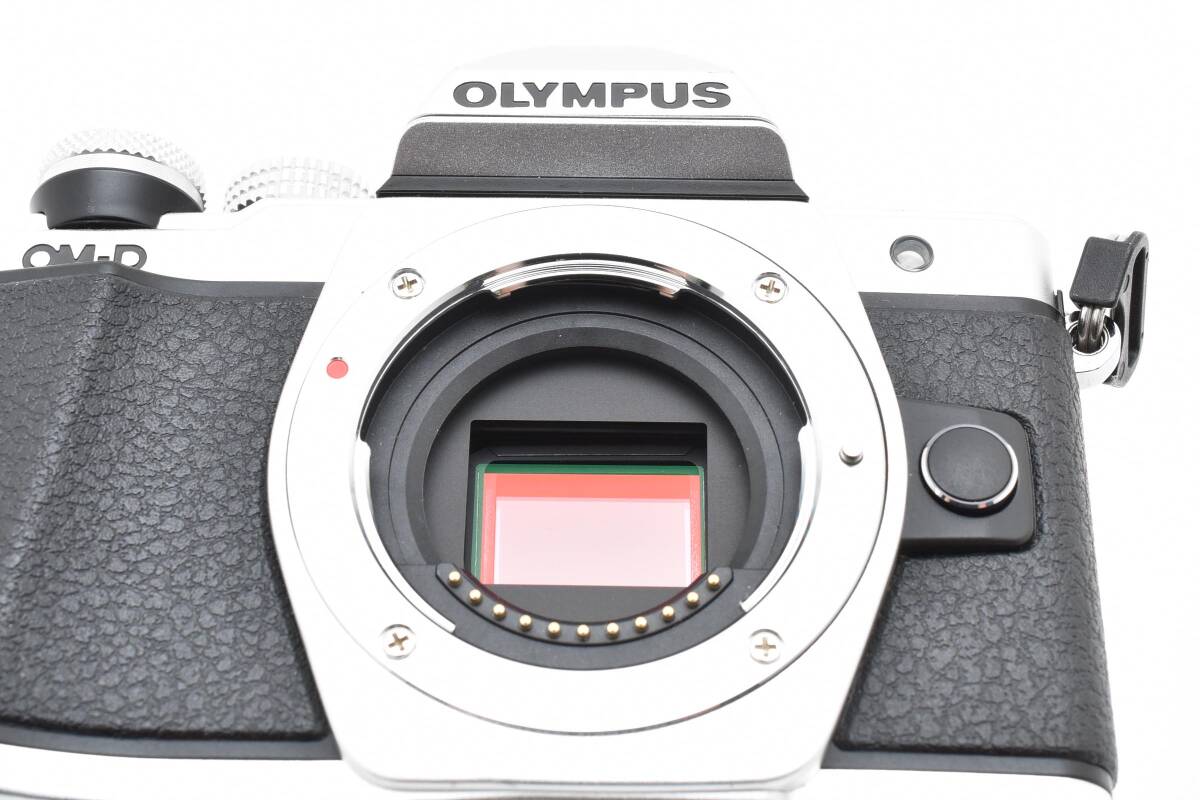 ★☆【訳アリ】 OLYMPUS OM-D E-M10 MARK II オリンパス ミラーレス一眼カメラ ボディ #4866☆★