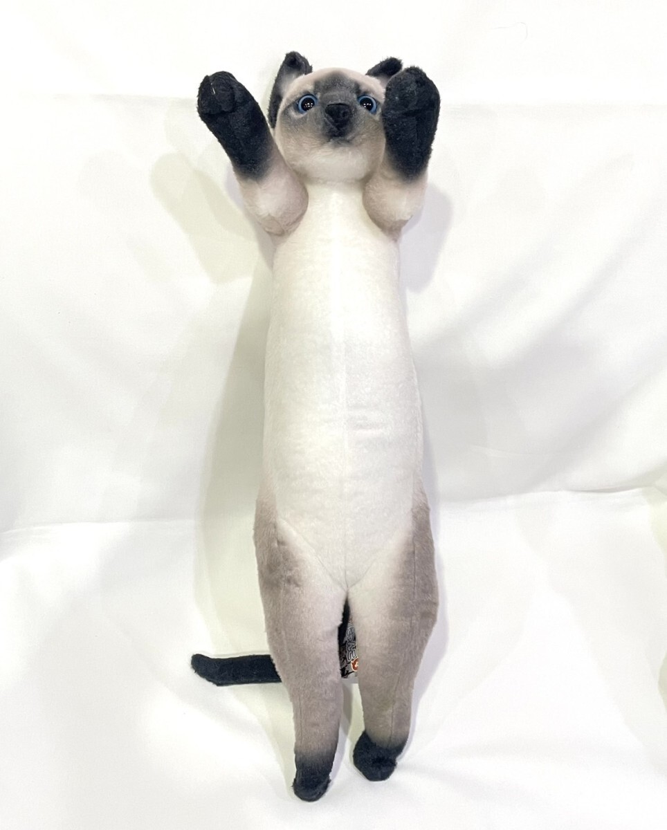 新品タグ付き【シャム貓】たっちぃZoo にゃんこ4 BIG ぬいぐるみ 完全自立 ネコ 貓 全高約50cm 株式會社リード 貓コラ ZK2