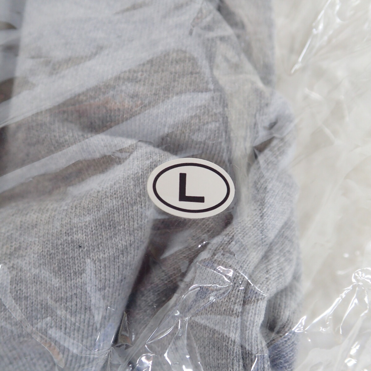 未開封 氷室京介 パーカー 25th NAKED Lサイズ【IO