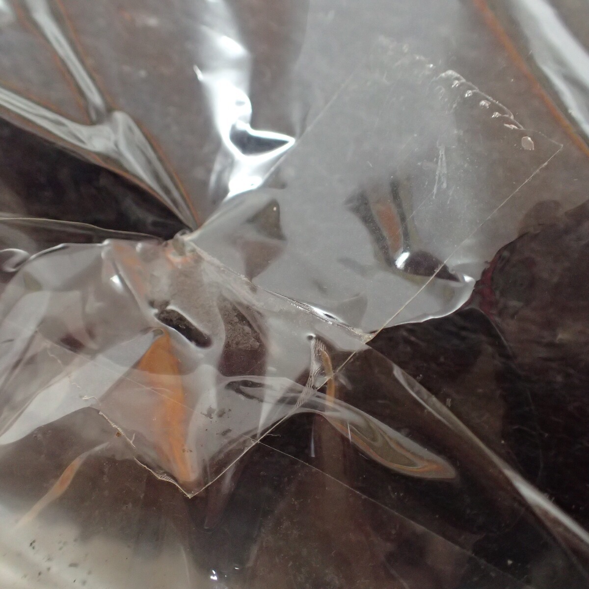 未開(kāi)封 氷室京介 スタジャン COUNTDOWN CROSSOVER Mサイズ スタジアムジャンバー【IO