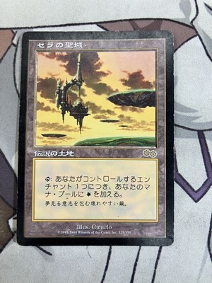 MTG セラの聖域 325 特価品 _画像1
