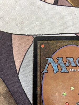 MTG セラの聖域 325 特価品 _画像7