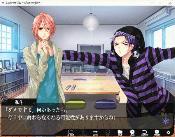 Starry*Sky ~After Winter~ Limited Edition Windows рабочий товар 