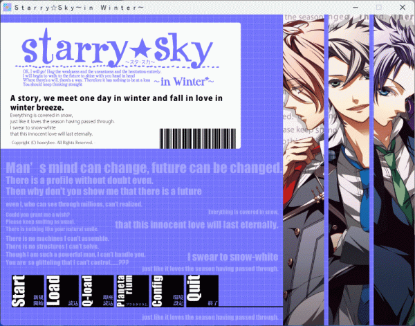 Starry*Sky ~in Winter~ Windows рабочий товар
