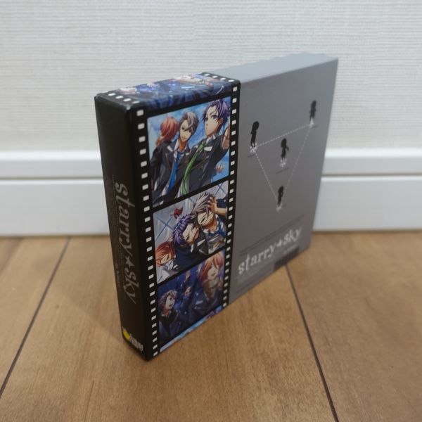 Starry*Sky ~in Winter~ Windows рабочий товар