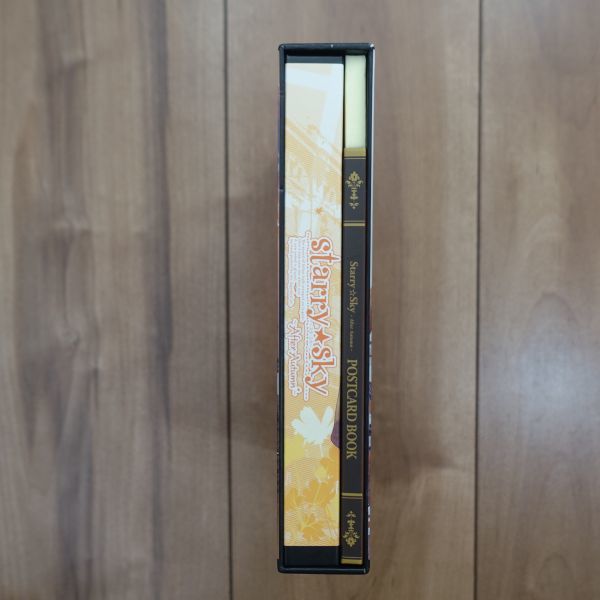 Starry*Sky ~After Autumn~ Limited Edition Windows рабочий товар