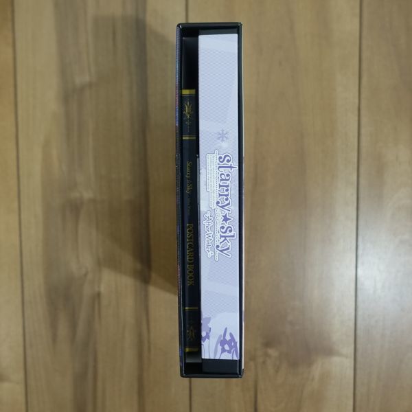 Starry*Sky ~After Winter~ Limited Edition Windows рабочий товар