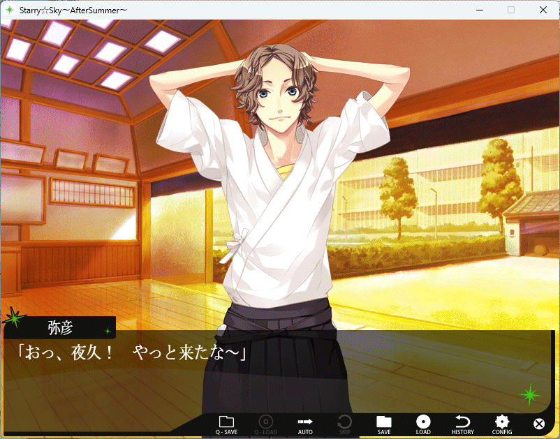 Starry*Sky ~After Summer~ Limited Edition Windows рабочий товар 