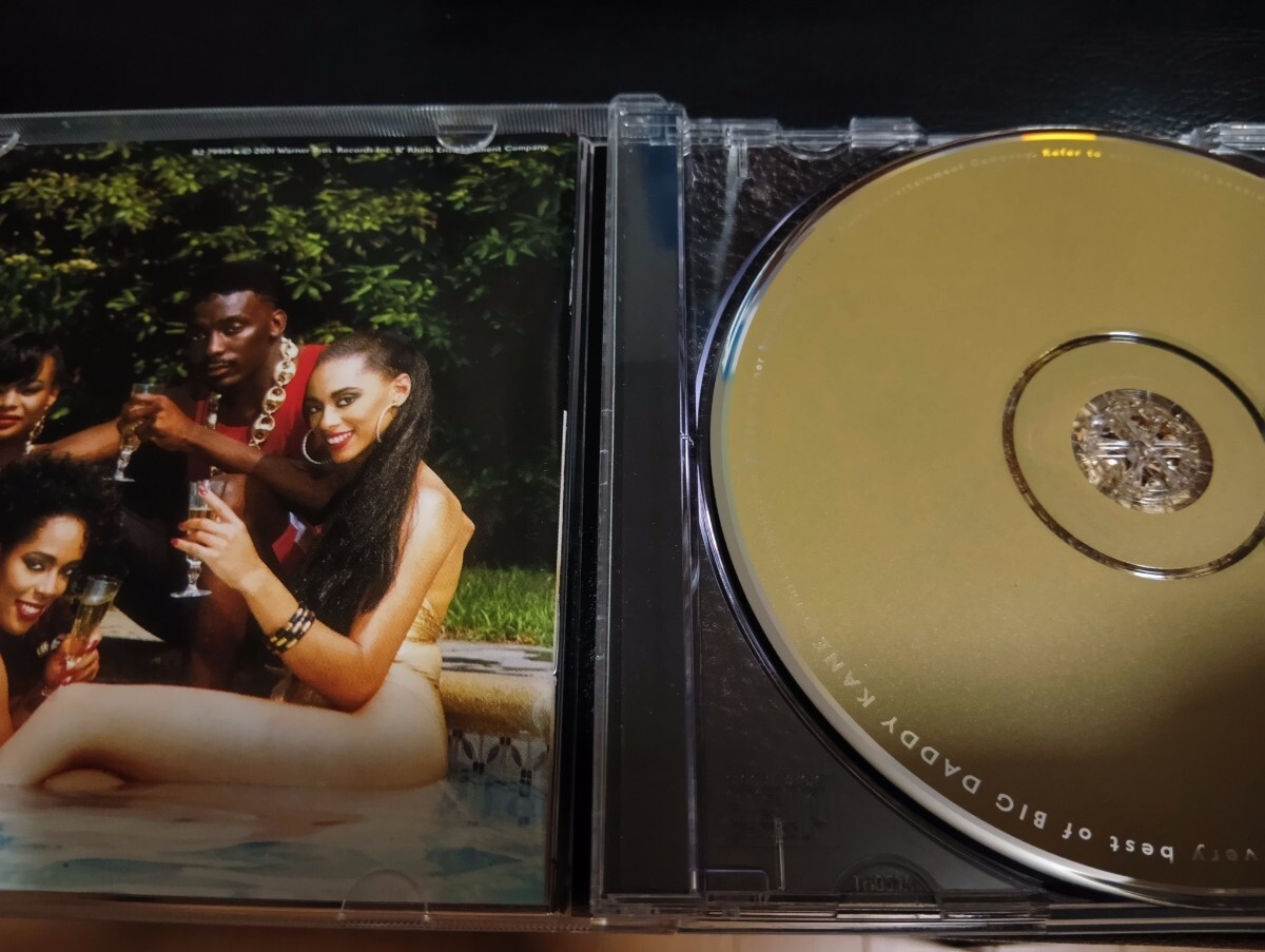 中古CD■BIG DADDY KANE GREATEST HITS 輸入盤 美品 HIPHOP_画像2