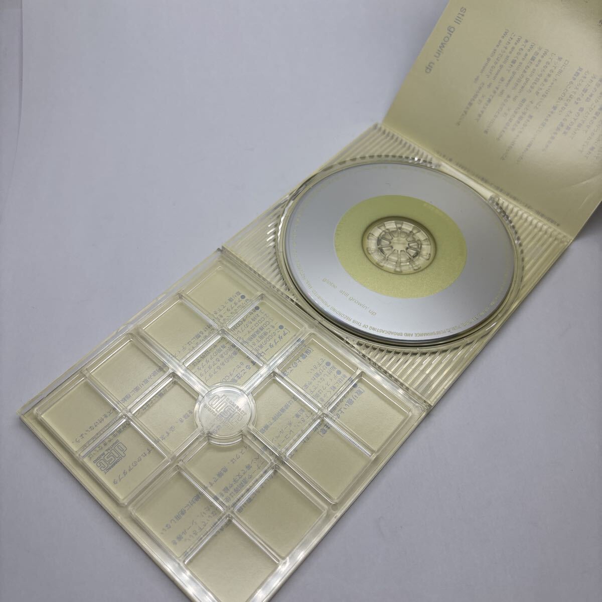 美盤 CD 8cm still growin up/globe、 KEIKO、 MARC_画像4