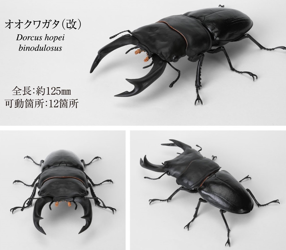  gashapon online версия * oo рогач модифицировано /. кимоно большой иллюстрированная книга тяпка ..09[ Bandai ] фигурка 