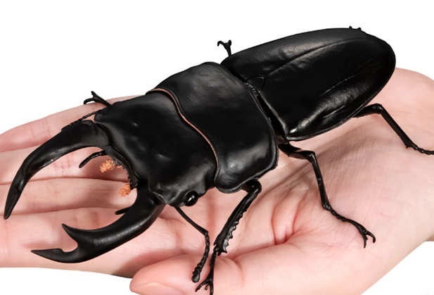  gashapon online версия * oo рогач модифицировано /. кимоно большой иллюстрированная книга тяпка ..09[ Bandai ] фигурка 