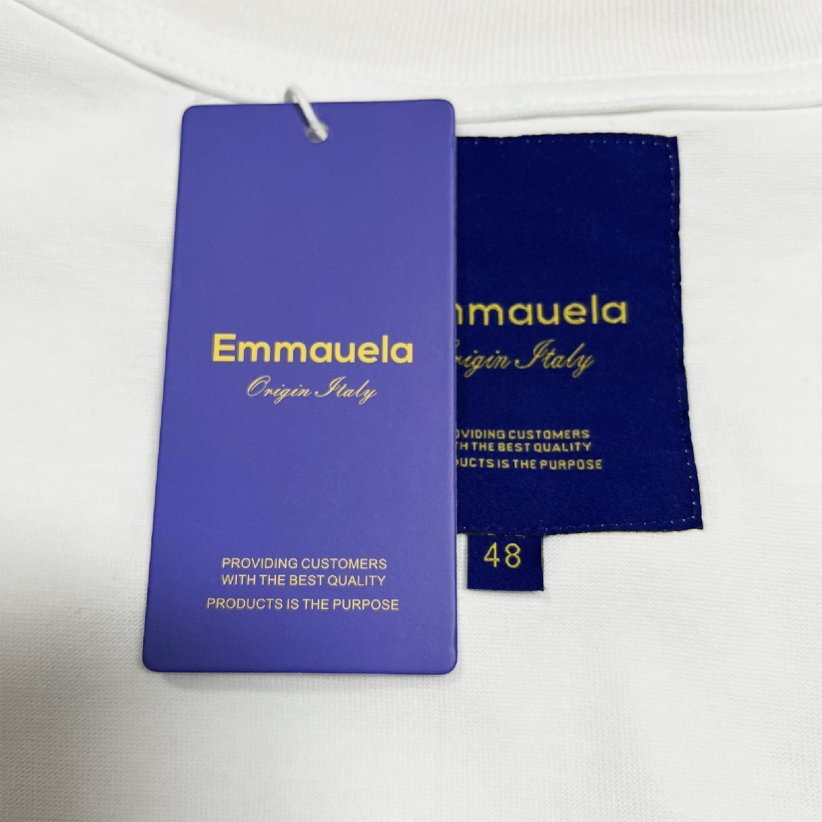 高級?半袖Tシャツ 定価2萬◆Emmauela?イタリア?ミラノ発◆綿100％ 吸濕速干 通気 個(gè)性 スウェット スタイリッシュ 普段著 2XL/52サイズ