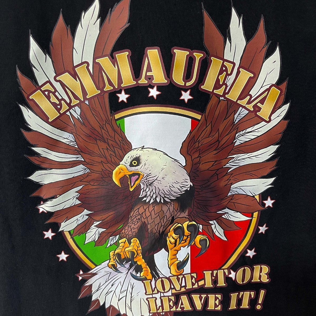 絶賛?半袖 Tシャツ 定価2萬◆Emmauela?イタリア?ミラノ発◆綿100％ 個(gè)性 柔らか 鷹柄 アメカジ ゆったり トップス スウェット 夏服 2XL