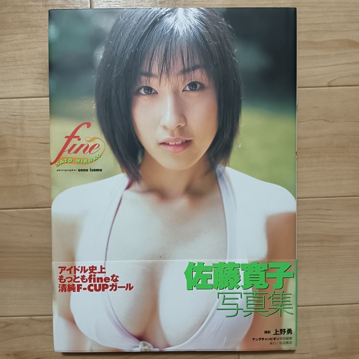 初版 帯付き 佐藤寛子寫真集 fine 巨乳 爆乳 グラビア アイドル 水著 ビキニ 下著