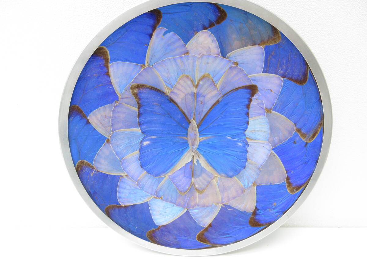 11015 インテリア祭 モルフォ蝶 飾皿 壁掛け バタフライアート 蝶 アート 羽 羽細工 皿 美術品 飾り皿 保管品_画像1