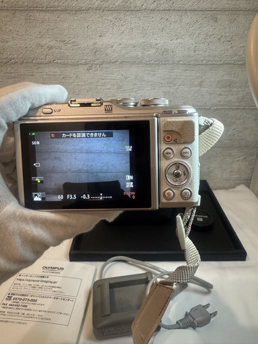 OLYMPUS オリンパス PEN E-PL9 ミラーレス一眼カメラ　ケース　充電器　説明書付き　簡易動作確認済み