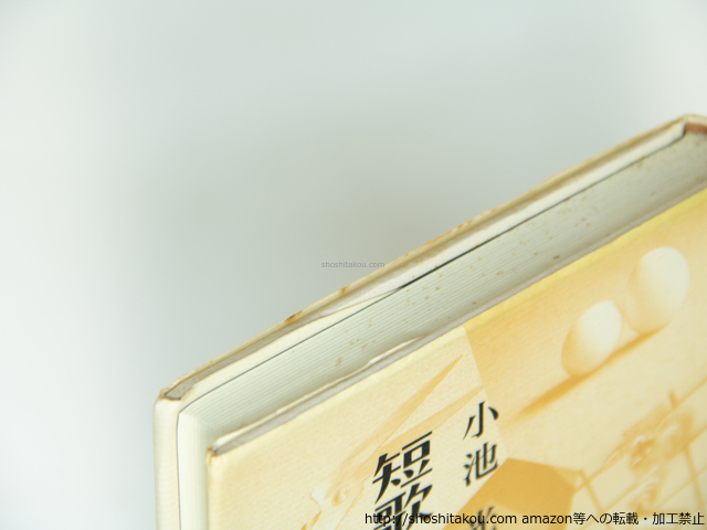 短歌 物体のある風景 署名入/小池光/本阿弥書店*39311_画像6