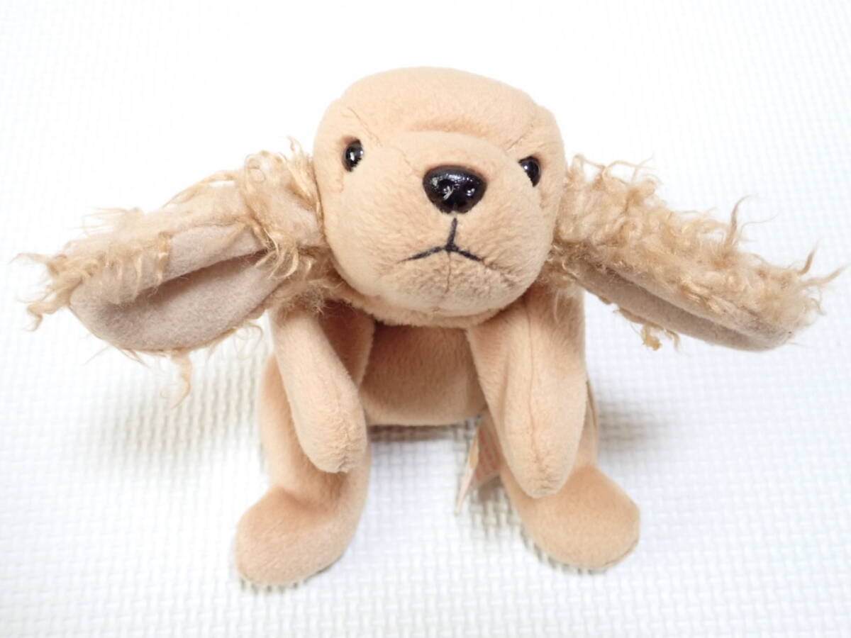 ty イヌ 犬 dog Spunky ぬいぐるみ 22cm 管理番號(hào)103