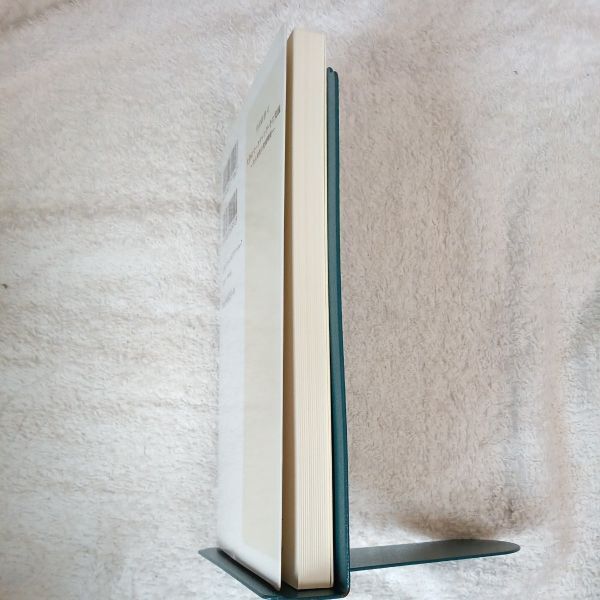 視力回復超速読術 速く読めて目がよくなる驚異のノウハウ (日文新書) 川村 明宏 若桜木 虔 9784907711047_画像4