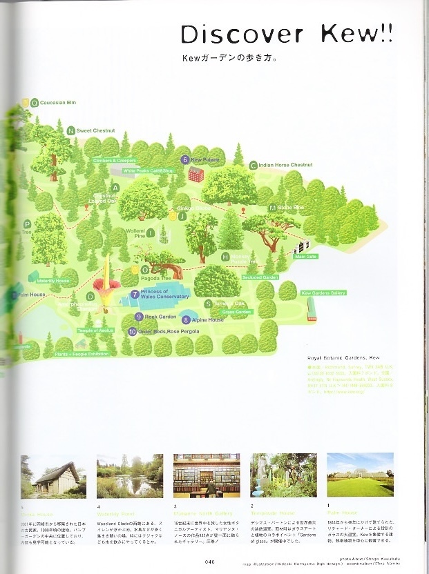 雑志BRUTUS/ブルータス No.586(2006.2/1)★魅惑の「庭」特集！★Garden Love/京都の庭/Kewガーデンの歩き方/文：安藤忠雄/箱庭という宇宙★