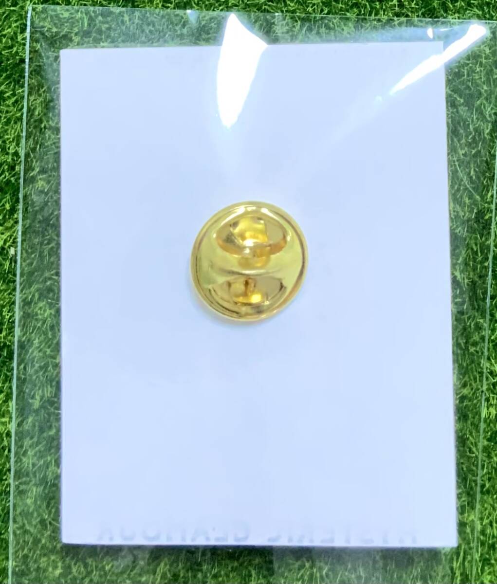 即決☆ヒステリックグラマー☆正規(guī)品☆新品☆ピンバッジ☆ピンズ☆666☆HYSTERIC GLAMOUR