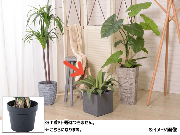 東谷 フェイクグリーン アガベ GRN-14 おしゃれ 人工観葉 観葉植物 インテリア 造花 リーフ あずまや メーカー直送 送料無(wú)料