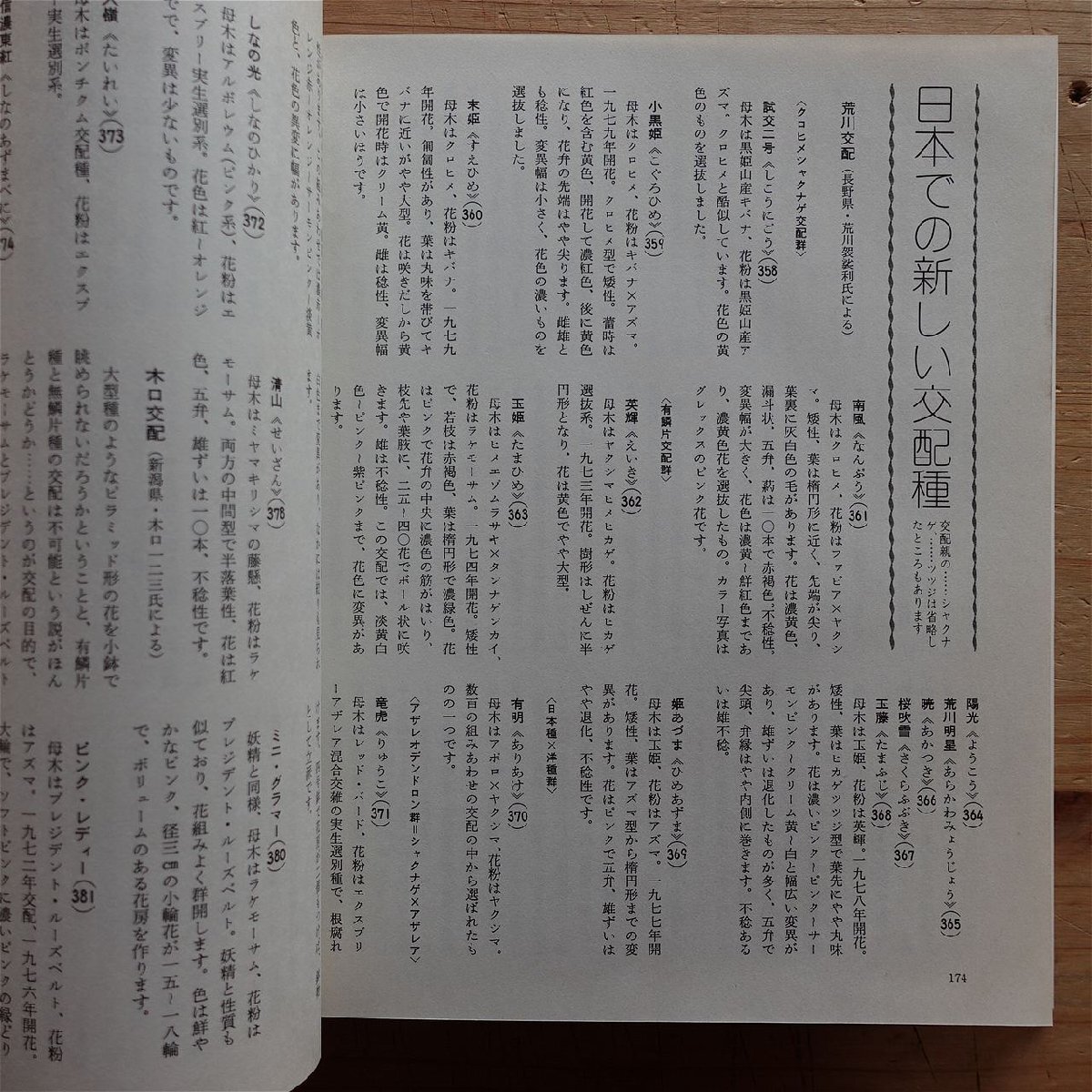 b8/カラー園芸選書【世界のシャクナゲ/吉岡久治著/昭和57年・誠文堂新光社】_画像10