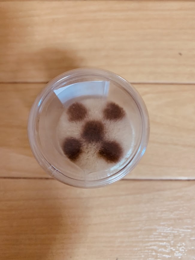 ★晃祐堂　熊野筆　化粧筆 チークブラシ　 パウダーブラシ　ドコモダケブラシ　未使用　KOYUDO collection