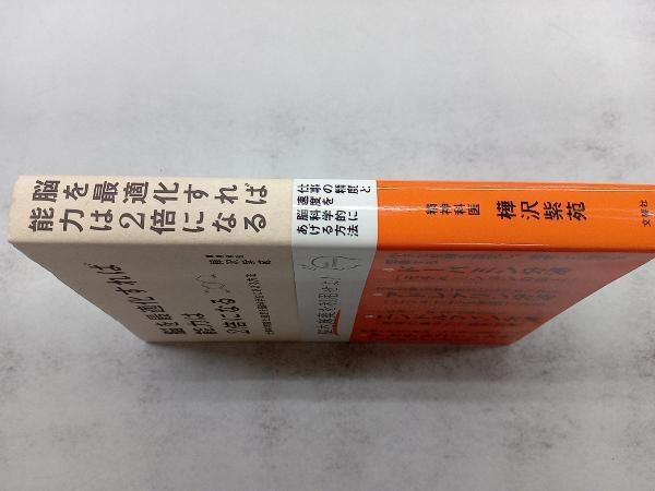脳を最適化すれば能力は2倍になる 樺沢紫苑_画像3