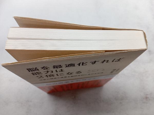 脳を最適化すれば能力は2倍になる 樺沢紫苑_画像4