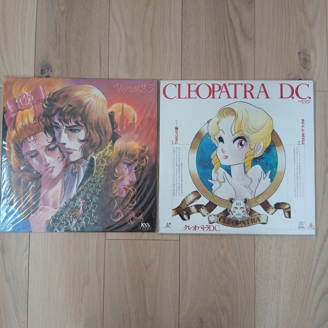 ◎【まとめ売り】レーザーディスク LD バブルガムクライシス ストリートファイター クラッシャージョウ 竹宮恵子 吸血鬼ハンターD ベルばら