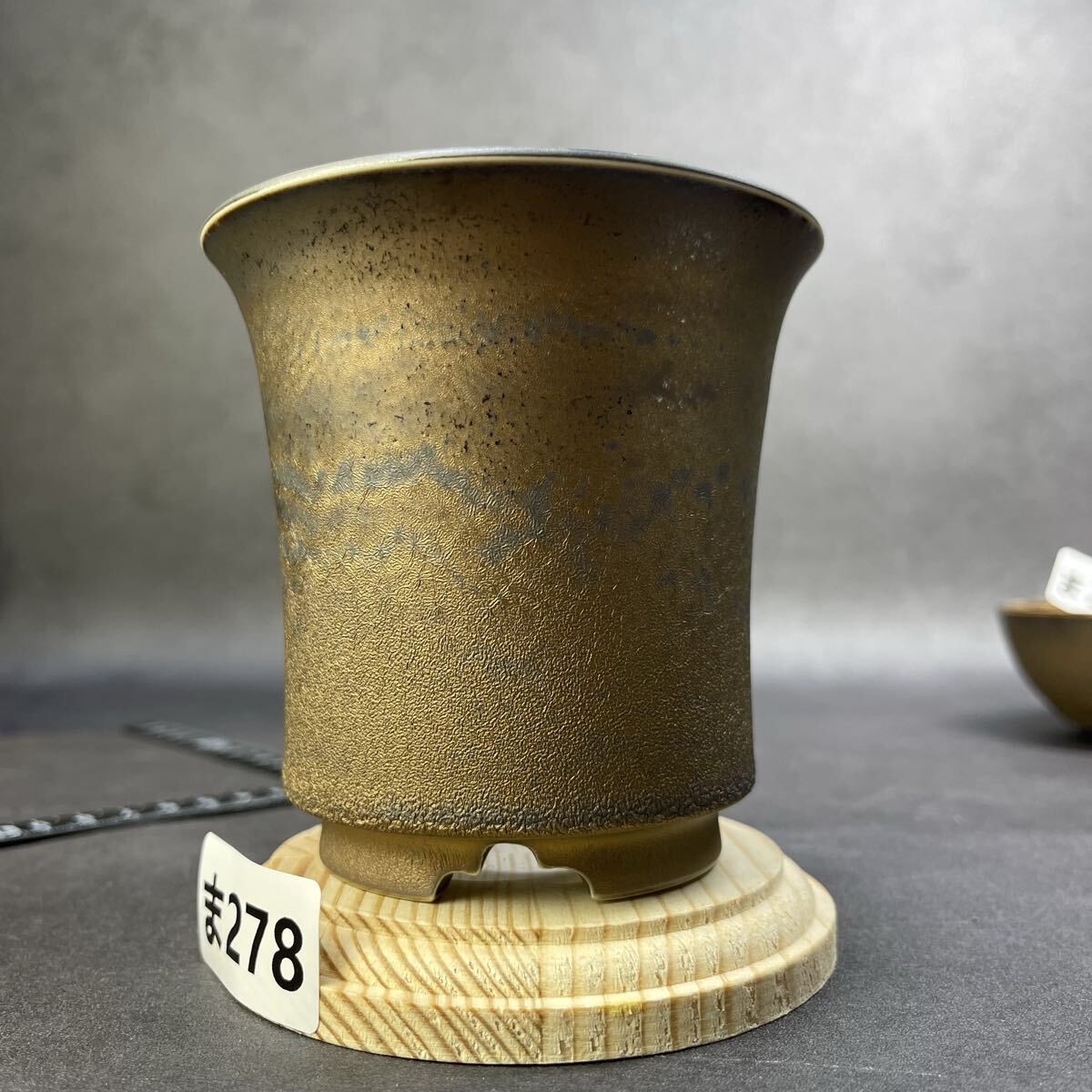 ま278 HAND Made 植木鉢 陶器検(アガベ パキプス 姫巌竜 帝釈天 黒火焔 factory SRL カタチ製作所 グラキリス 塊根植物 亀甲竜_画像1