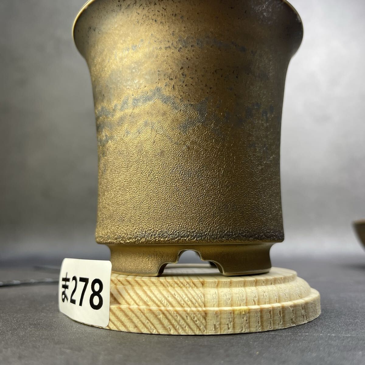 ま278 HAND Made 植木鉢 陶器検(アガベ パキプス 姫巌竜 帝釈天 黒火焔 factory SRL カタチ製作所 グラキリス 塊根植物 亀甲竜_画像2